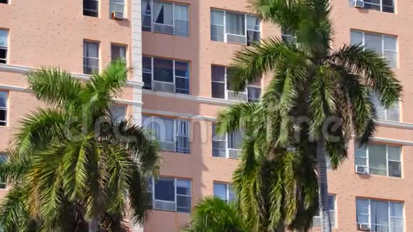 迈阿密的棕榈树和建筑物视频的预览图