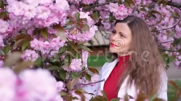 樱花树上美丽的姑娘春天的粉红色花朵视频的预览图