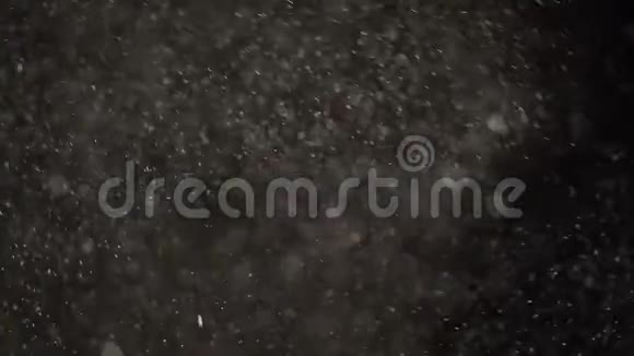 漂浮的白色尘埃颗粒在黑色背景上闪闪发光视频的预览图