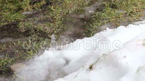 春天雪在融化视频的预览图