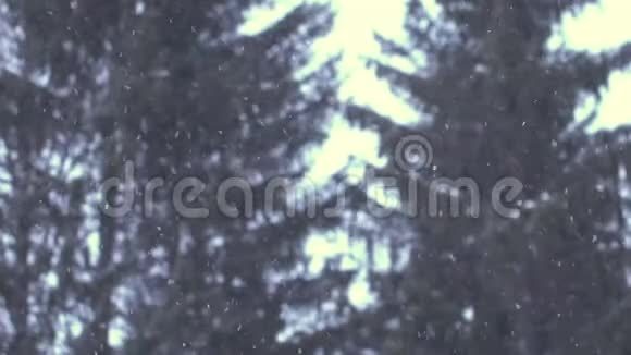森林背景模糊的冬季暴风雪视频的预览图