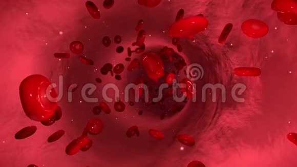 血液与血细胞的动画视频的预览图