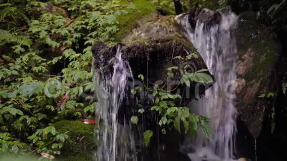 喜马拉雅山的森林瀑布尼泊尔森林溪有纯透明水视频的预览图