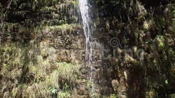 喜马拉雅山的森林瀑布尼泊尔纯透明水森林小溪视频的预览图