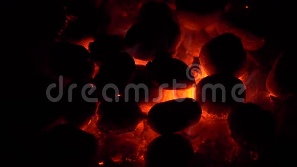 燃烧煤炭煤和火慢运动视频的预览图