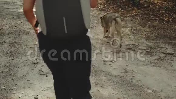 带着咖啡和狗的女孩在美丽的森林里散步女人和混种狗沿着乡村走视频的预览图