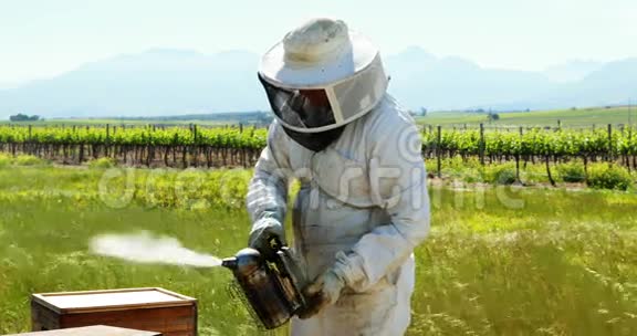 养蜂人把蜜蜂抽离蜂巢视频的预览图