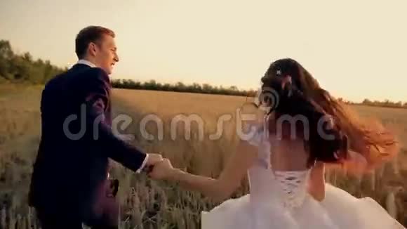 新郎新娘带着小麦在田野上奔跑视频的预览图