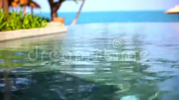 靠近大海的游泳池苏梅岛视频的预览图