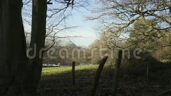 伦敦附近的英国乡村早春山榉木复制空间背景栅栏和草地的景色视频的预览图