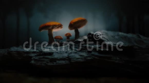 神秘森林神奇蘑菇场景视频的预览图