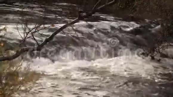 强降雨后快速流动的河流视频的预览图