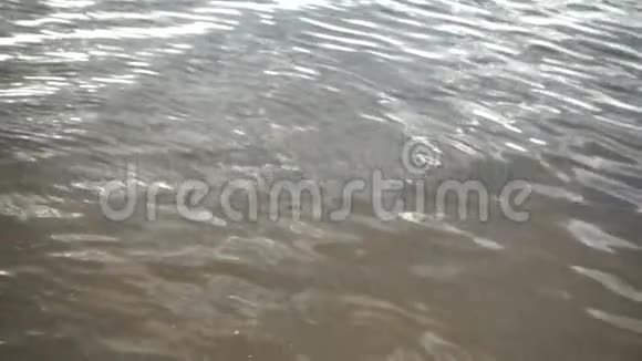 一个孩子在河里溅起水花的动作视频的预览图