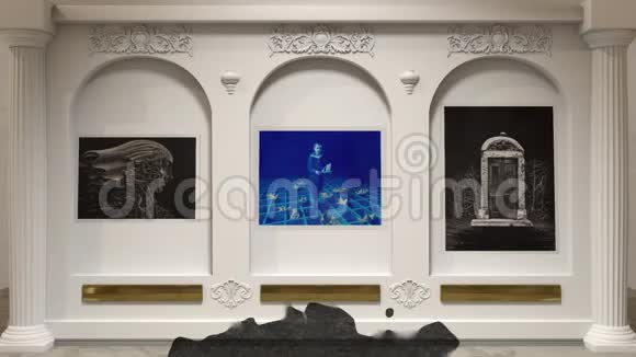 抽象的神秘阴影在美术馆的绘画前移动博物馆艺术品中的幽灵视频的预览图