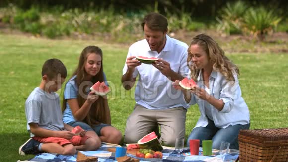 一家人在野餐时吃西瓜视频的预览图