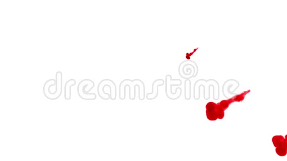 红墨水在水中从上到下呈圆形在白色的背景上作为阿尔法通道使用卢马冰2视频的预览图