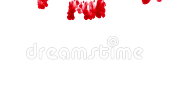 一股深红色的墨水在水中蔓延在白色的背景上作为阿尔法通道使用卢马哑光3视频的预览图