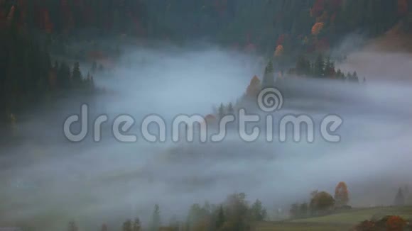 森林山脉的早晨雾视频的预览图