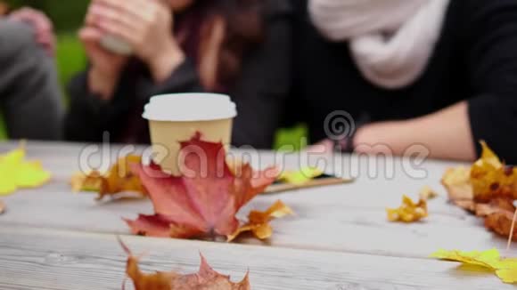秋天公园木桌后面的朋友视频的预览图