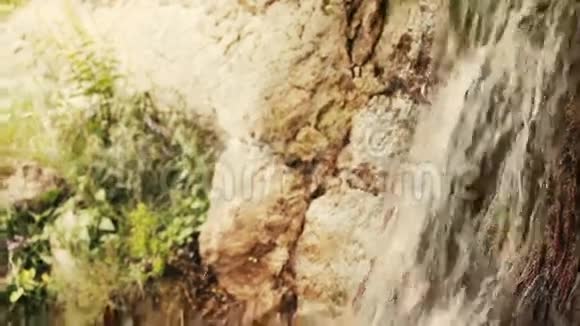 山中的小瀑布视频的预览图