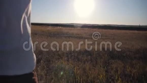 日落时分一个男孩穿过田野头上放着风筝一个孩子的梦儿童游戏视频的预览图