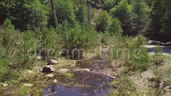 4k空中的石质水流穿过绿色的夏季山林视频的预览图