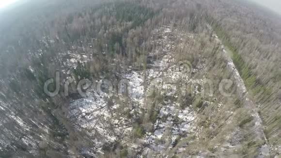 冬季混交林与桦树和云杉树的空中景象视频的预览图
