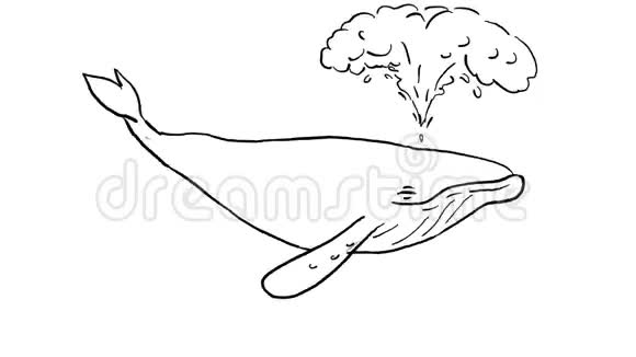 驼背鲸泳吹水图2D动画视频的预览图