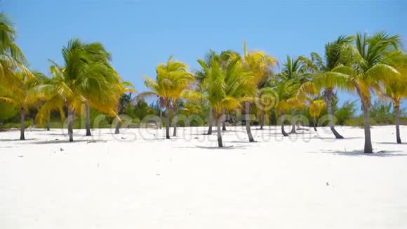 白色沙滩上的棕榈树普拉亚西雷娜卡约拉戈古巴视频的预览图