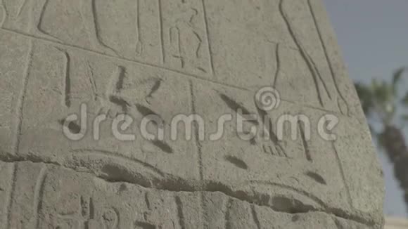 象形文字的特写开罗埃及视频的预览图