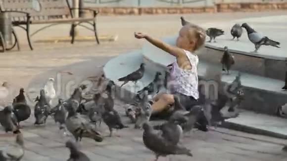 小可爱在喷泉附近喂鸽子视频的预览图