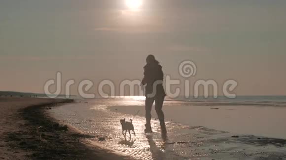 一个在夕阳下大海里带着狗的女孩视频的预览图