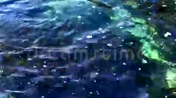 带绿松石水的热带海滩视频的预览图