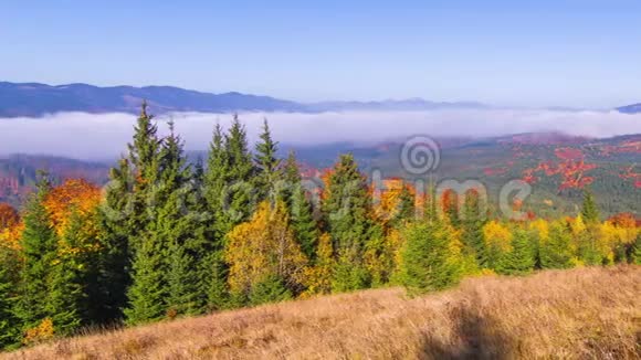 秋天在山上的早晨视频的预览图