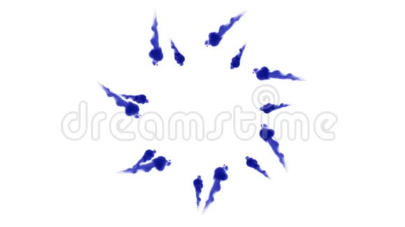 头顶拍摄的孤立的蓝色墨水在白色上形成一个圆圈蓝色颜料在水中混合在缓慢的运动中移动使用视频的预览图