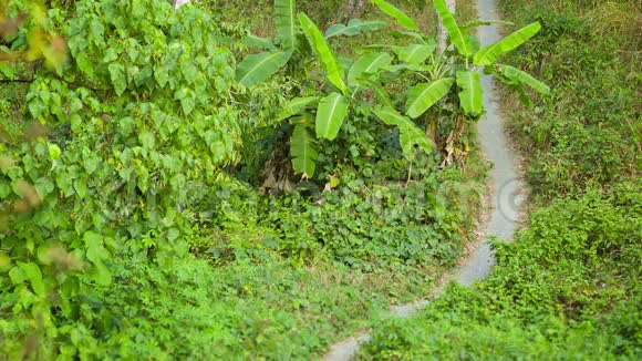 热带海洋荒凉的海岸有树木和岩石视频的预览图