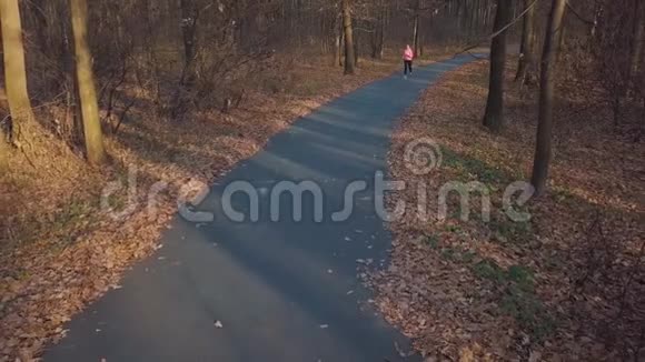 日落时穿过一片秋林的女子的鸟瞰图视频的预览图