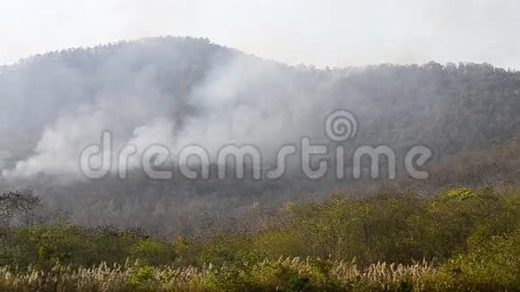 泰国山区的野火视频的预览图