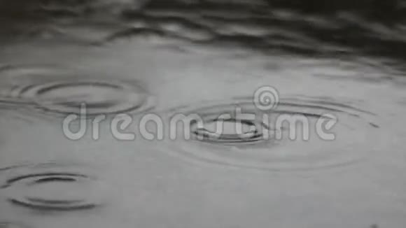 雨水滴在水坑里120英尺视频的预览图