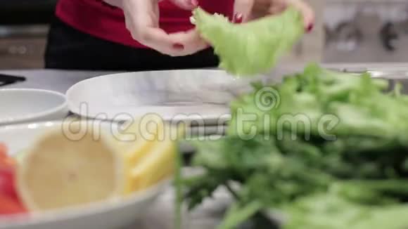 女人从事盘子里的食物设计视频的预览图