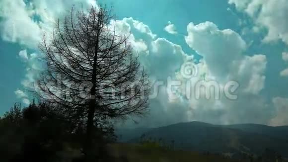 时间流逝的云和死树在山上视频的预览图