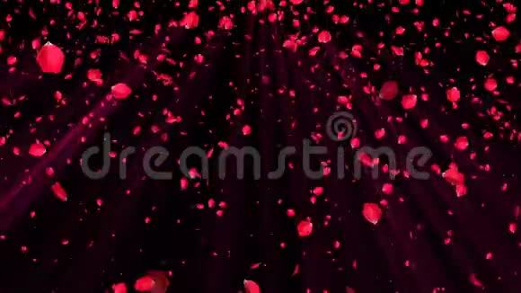 摘要背景与飞红玫瑰花瓣婚礼和浪漫风格三维渲染电脑生成的背景视频的预览图