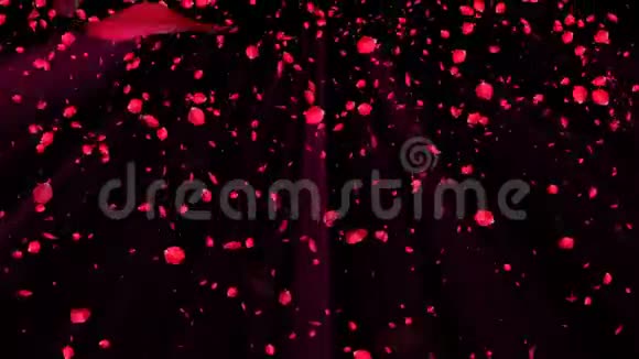 摘要背景与飞红玫瑰花瓣婚礼和浪漫风格三维渲染电脑生成的背景视频的预览图