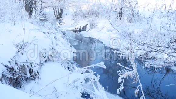 冬天的小溪在林中积雪冻结了树枝的景观树自然视频的预览图