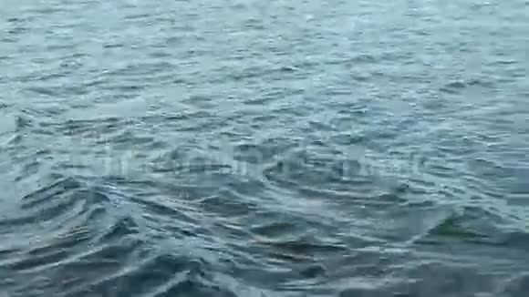 傍晚河水在河上波涛汹涌视频的预览图
