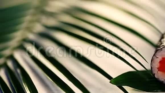 迷你卡帕木卷松石热带树叶仍然保留视频的预览图