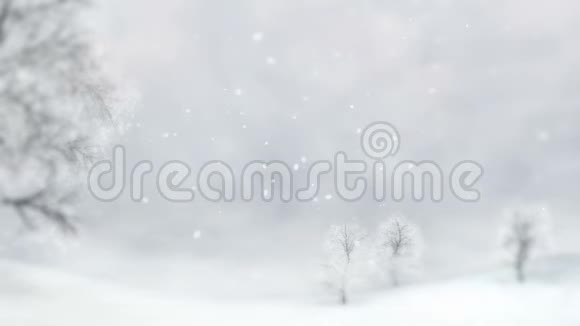 冬天的平原下雪时落叶乔木视频的预览图