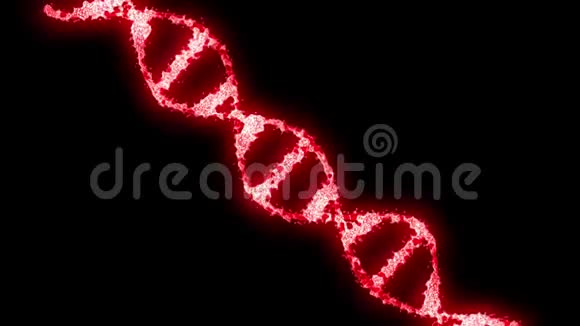 数字全息红DNA旋转DNA链是由单个元素组装而成的基因工程科学理念视频的预览图