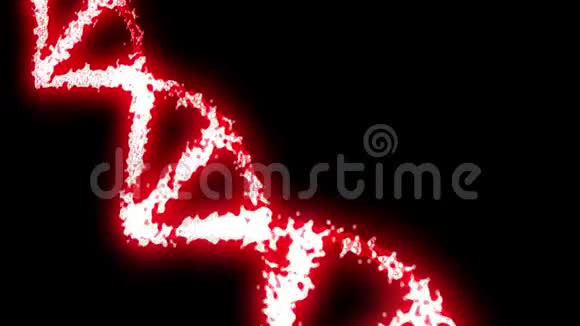 数字全息红DNA旋转DNA链是由单个元素组装而成的基因工程科学视频的预览图