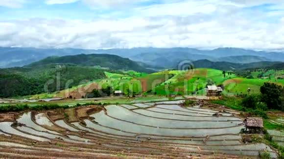 时间推移稻田斜坡景观向下倾斜视频的预览图
